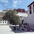 smallP1240057.JPG