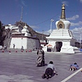 smallP1240060.JPG