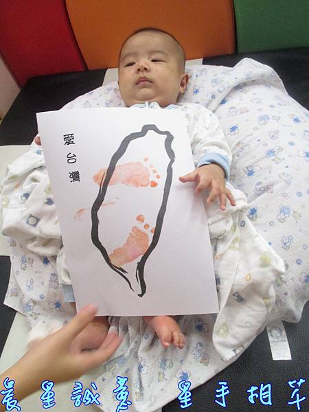 圖一.JPG 圖一.JPG