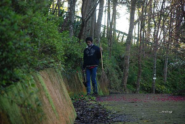 太麻里金針山青山農場