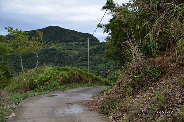 太麻里金針山青山農場