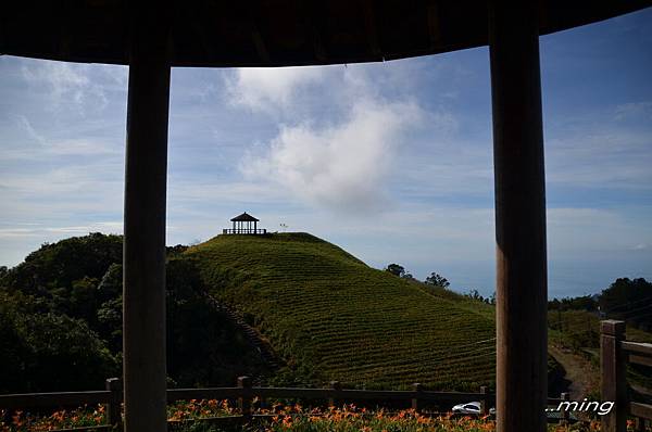 太麻里金針山青山農場