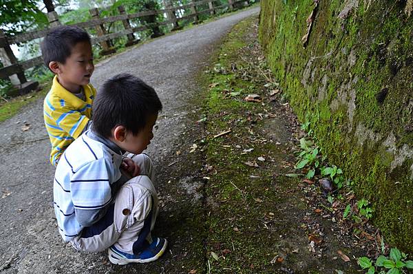 金針山青山農場