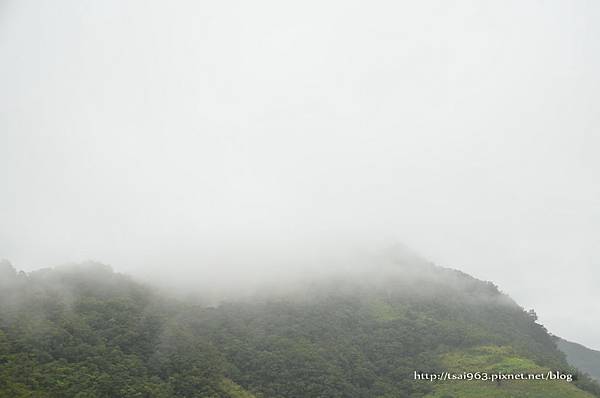 金針山青山農場