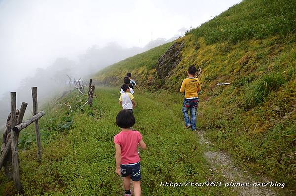 台東金針山青山農場