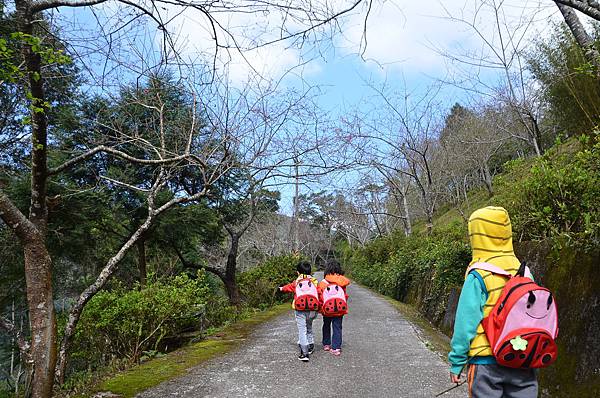 金針山青山農場