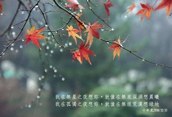 冬雨 十年風