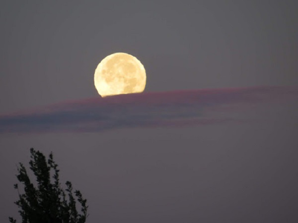 gplus508021589 gplus508021589