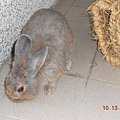 DSCN0977.jpg