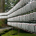 IMAG0695.jpg
