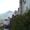 IMAG7835.jpg