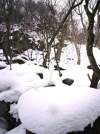 R0015361a R0015361a
