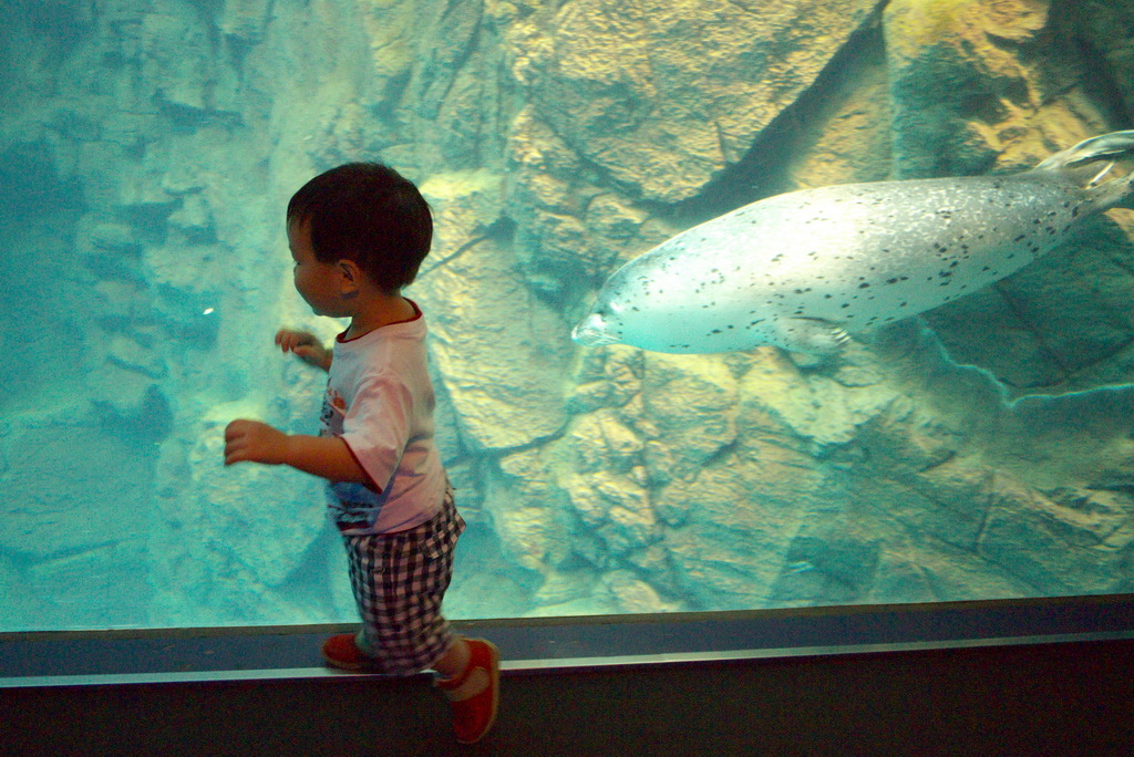 P1110089_1_調整大小.jpg P1110089_1_調整大小.jpg