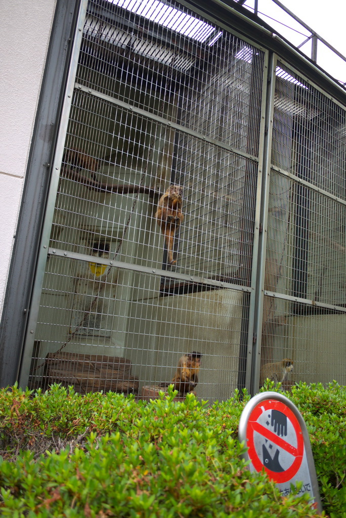 P1110285_1_調整大小.jpg P1110285_1_調整大小.jpg