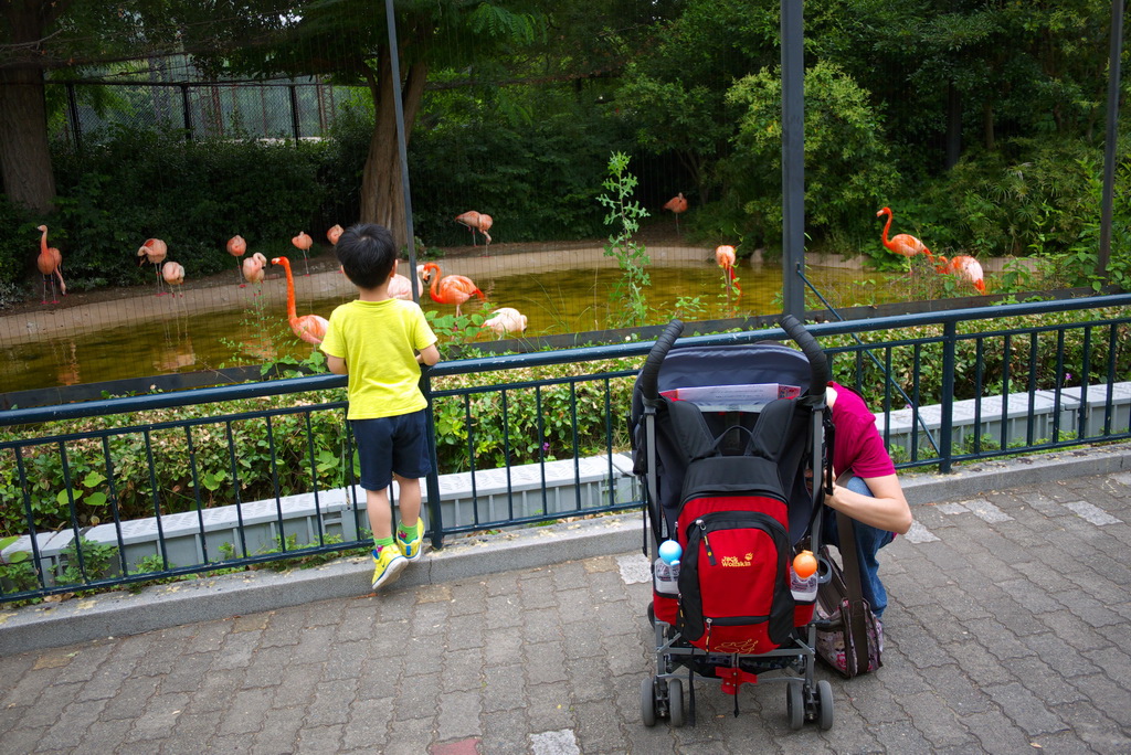 P1110334_1_調整大小.jpg P1110334_1_調整大小.jpg