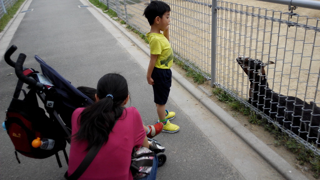 IMG_20140617_123642_調整大小.jpg IMG_20140617_123642_調整大小.jpg