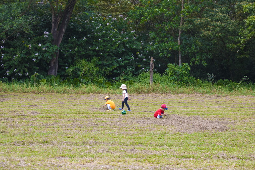 36.jpg 36.jpg