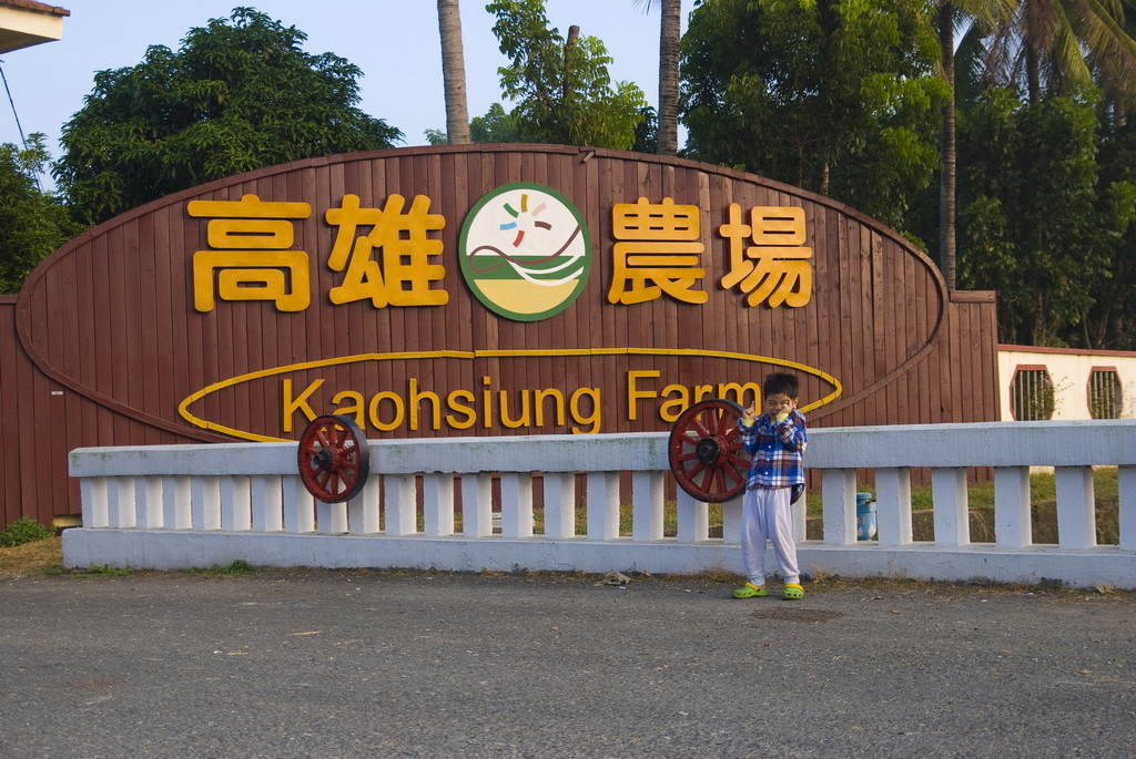 01.jpg 01.jpg