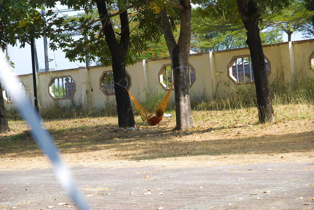 29.jpg 29.jpg