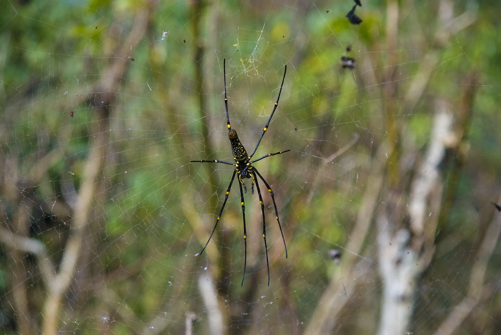 DSC_5543-.jpg DSC_5543-.jpg