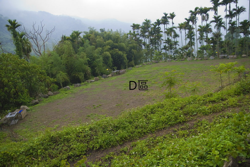 DSC_7677-.jpg DSC_7677-.jpg