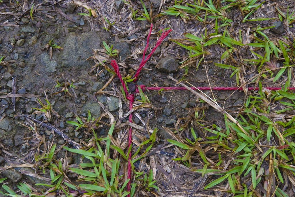 DSC_7704-.jpg DSC_7704-.jpg