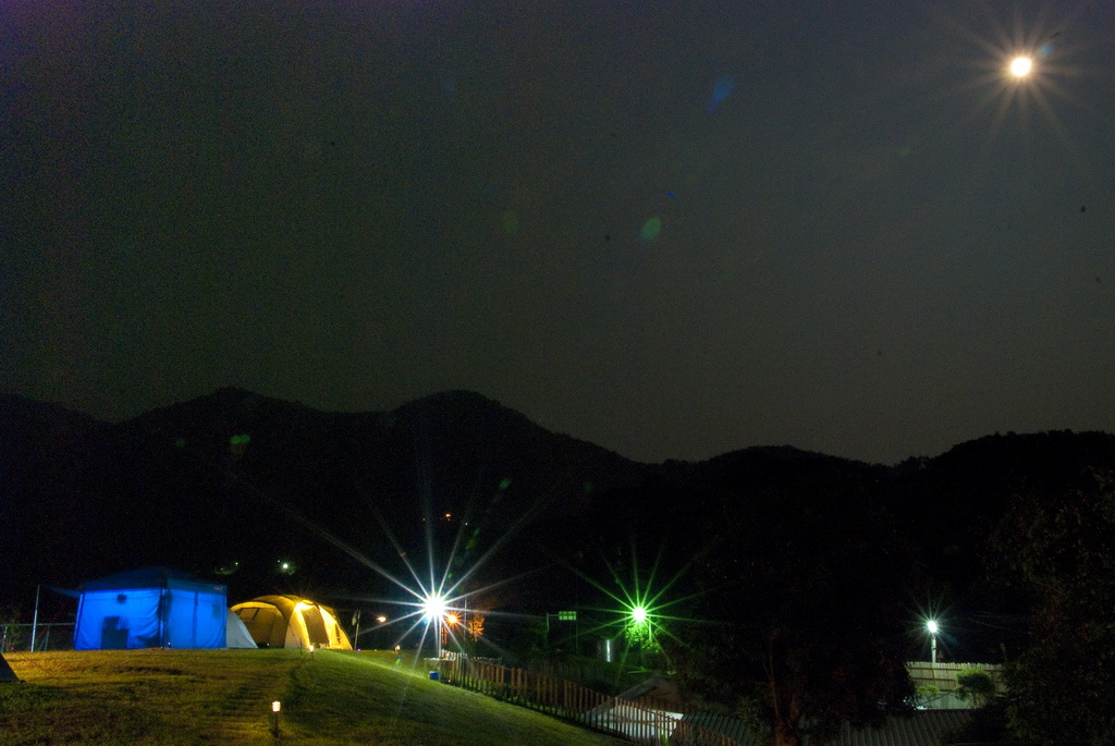 DSC_9529-.jpg DSC_9529-.jpg