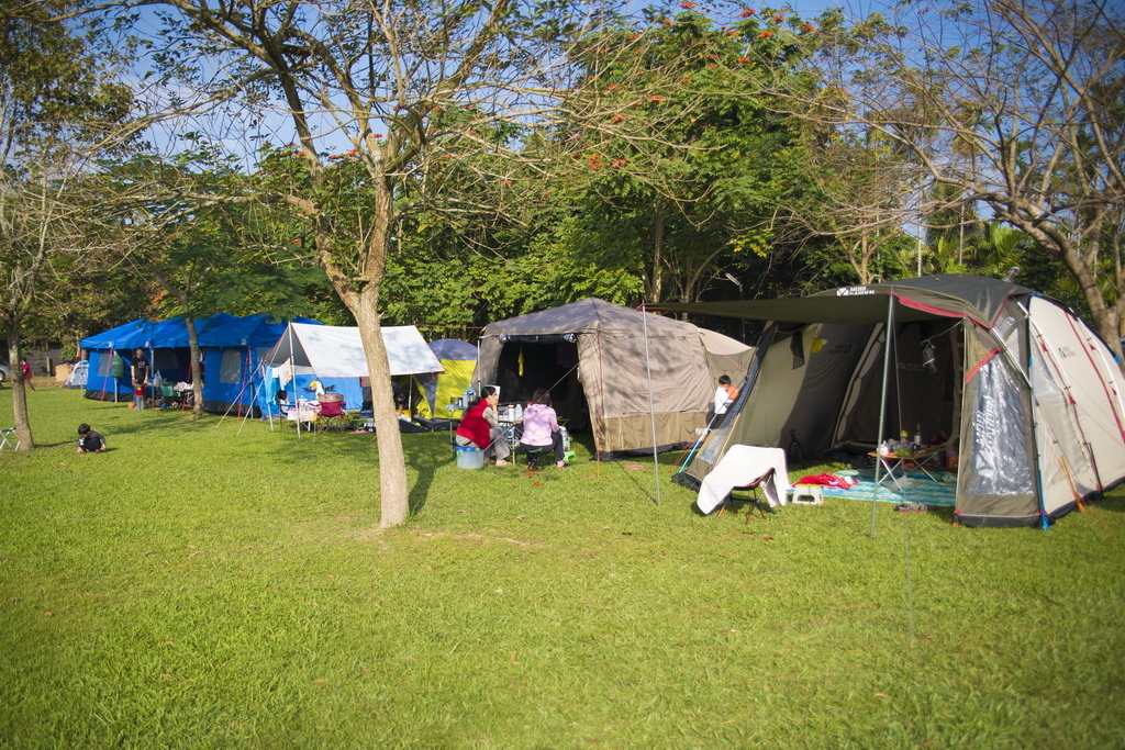 DSC_2824-.jpg DSC_2824-.jpg