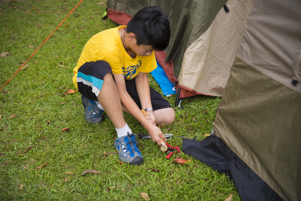 DSC_2871-.jpg DSC_2871-.jpg