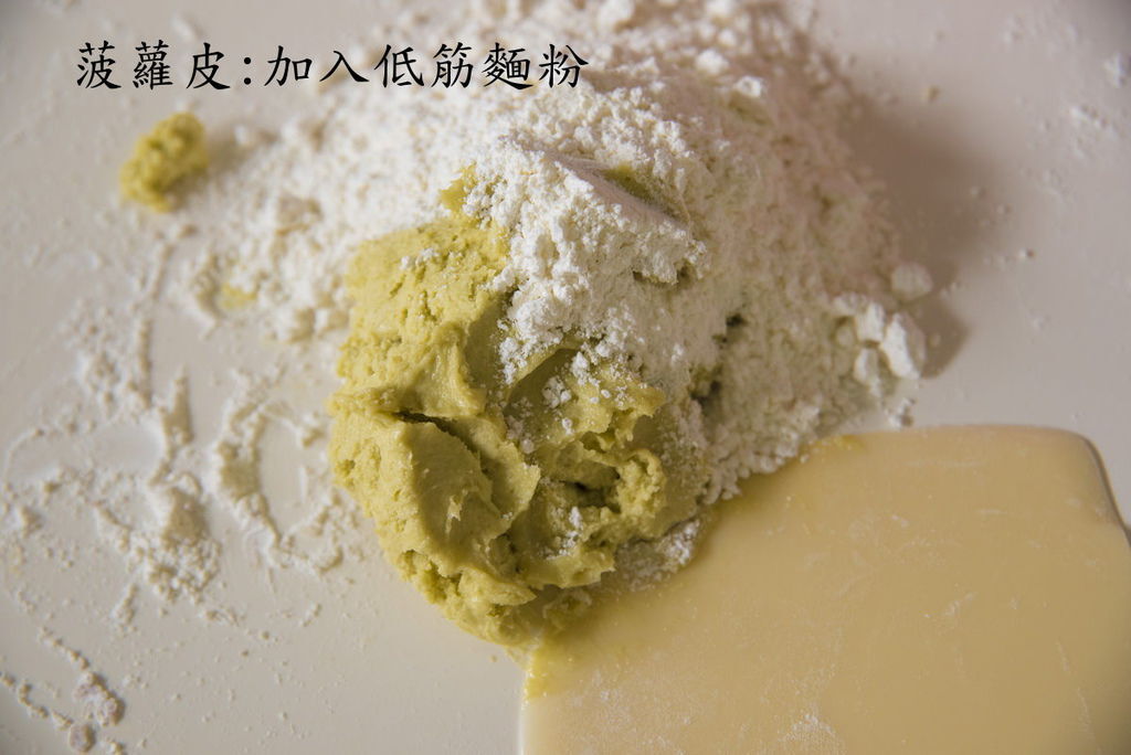 菠蘿皮07.jpg 菠蘿皮07.jpg