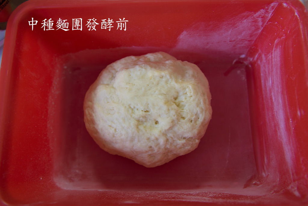中種02.jpg 中種02.jpg