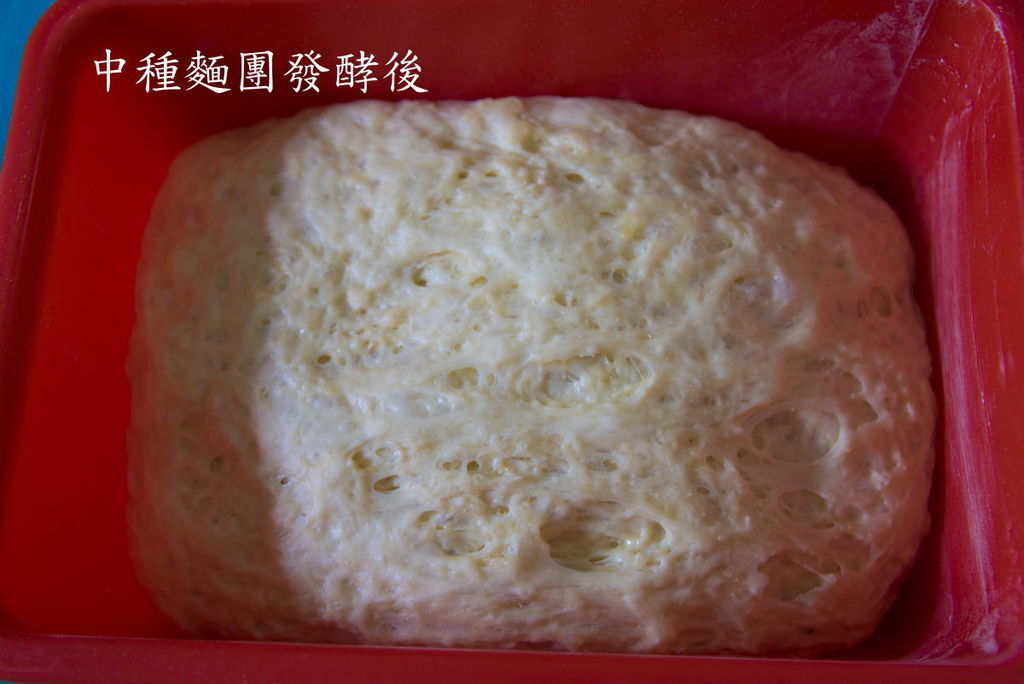 中種03.jpg 中種03.jpg