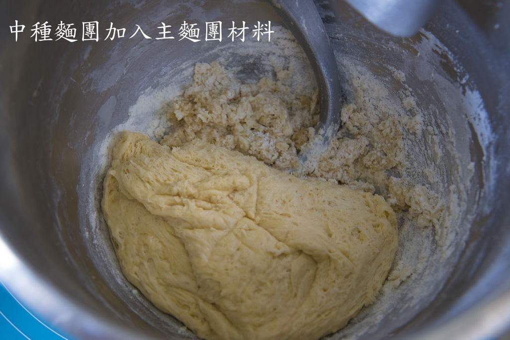 中種04.jpg 中種04.jpg