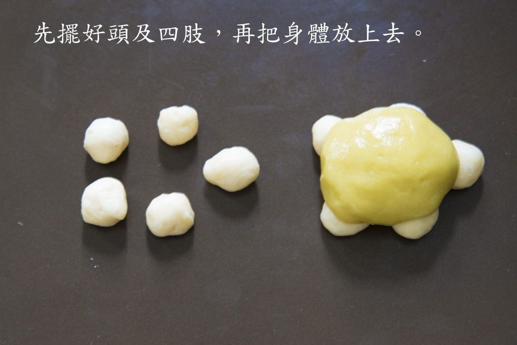 烏龜4.jpg 烏龜4.jpg