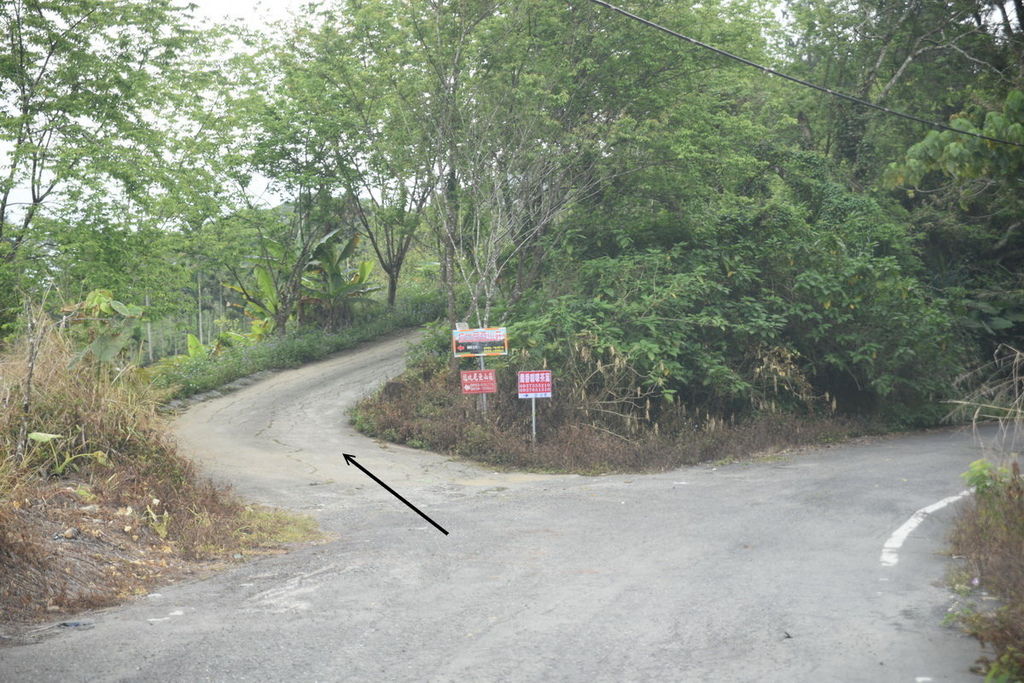 DSC_4747.JPG DSC_4747.JPG