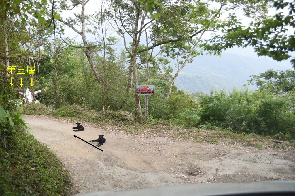 DSC_4761.JPG DSC_4761.JPG