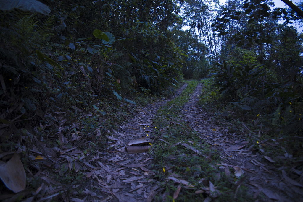 DSC_4830-.jpg DSC_4830-.jpg
