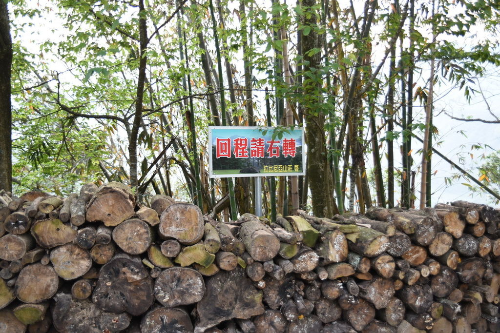 DSC_4948.JPG DSC_4948.JPG