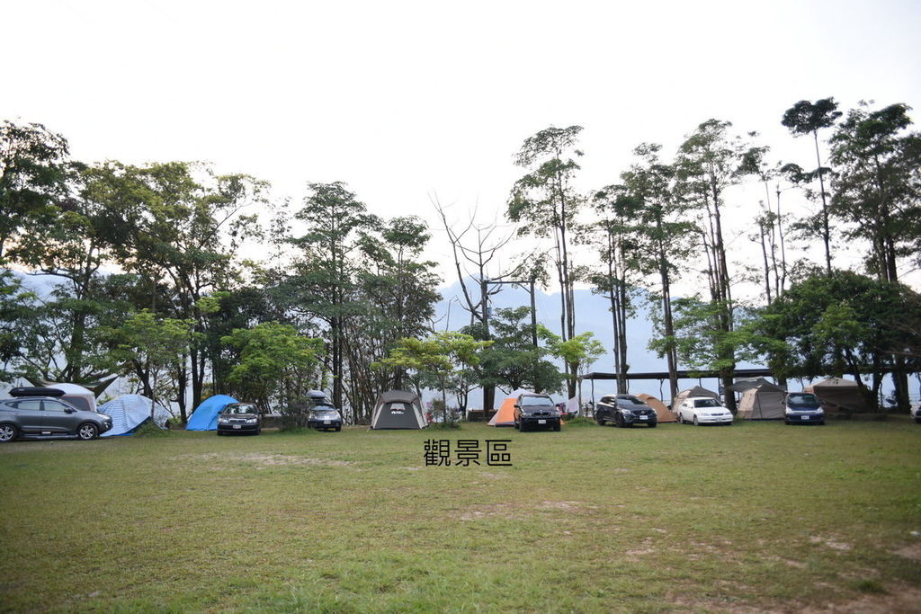 DSC_4950.JPG DSC_4950.JPG