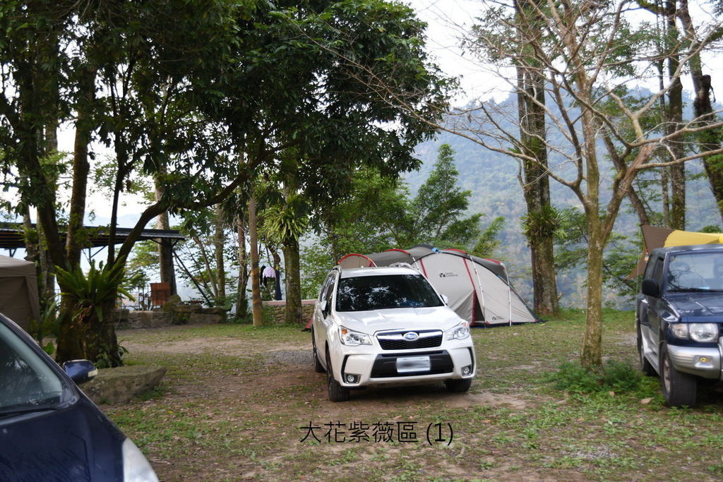 DSC_4951.JPG DSC_4951.JPG