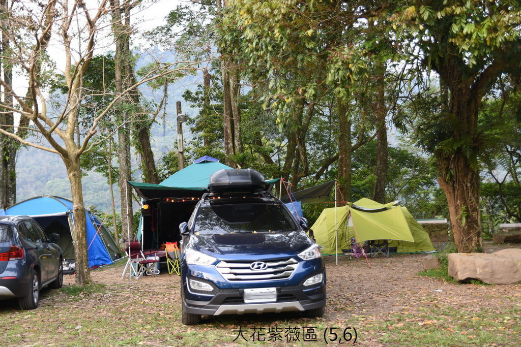 DSC_4955.JPG DSC_4955.JPG