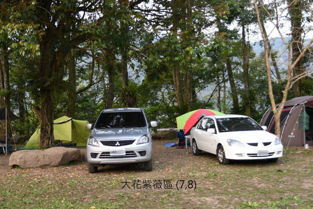 DSC_4956.JPG DSC_4956.JPG