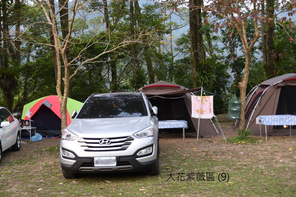 DSC_4957.JPG DSC_4957.JPG