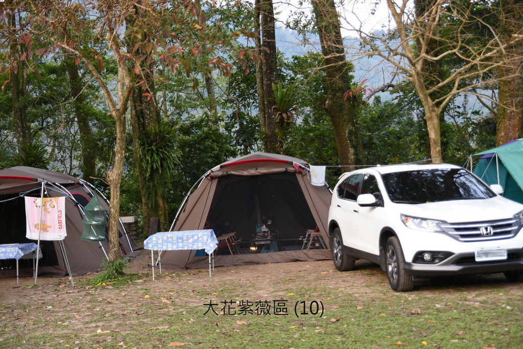 DSC_4958.JPG DSC_4958.JPG