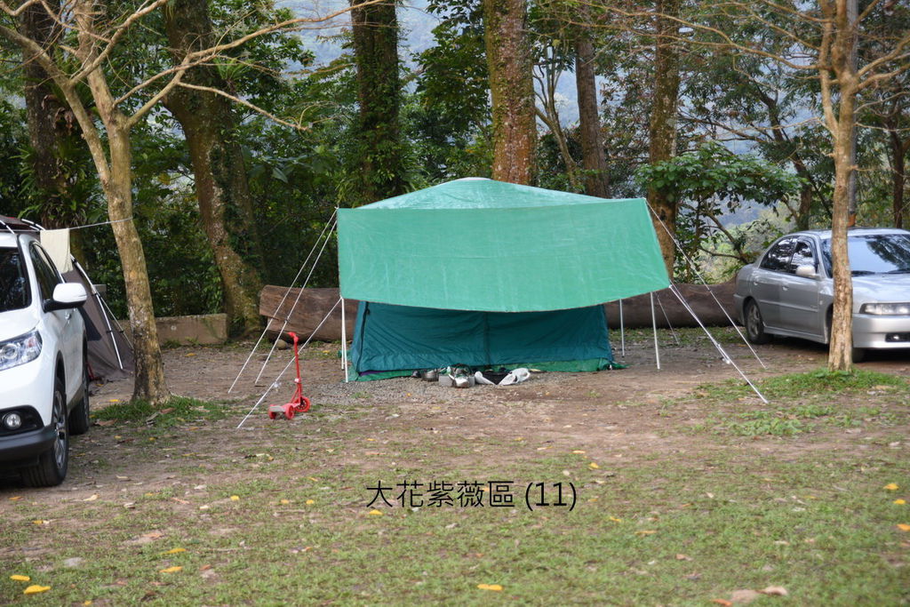DSC_4959.JPG DSC_4959.JPG