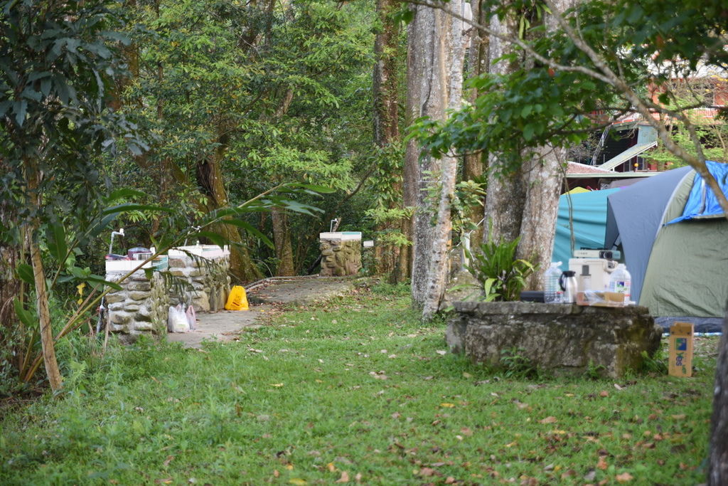 DSC_4971.JPG DSC_4971.JPG