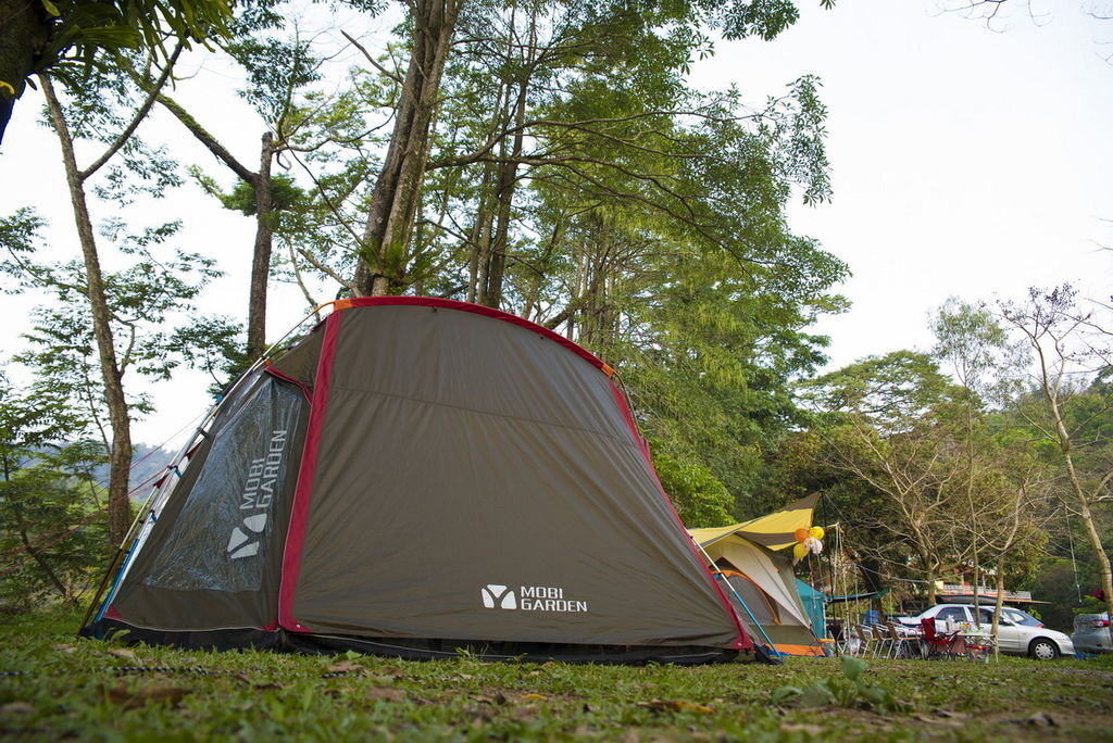 DSC_4983-.jpg DSC_4983-.jpg