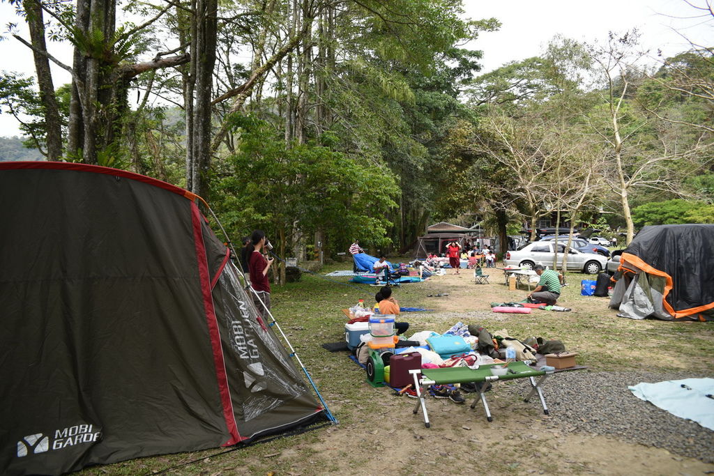 DSC_5130.JPG DSC_5130.JPG
