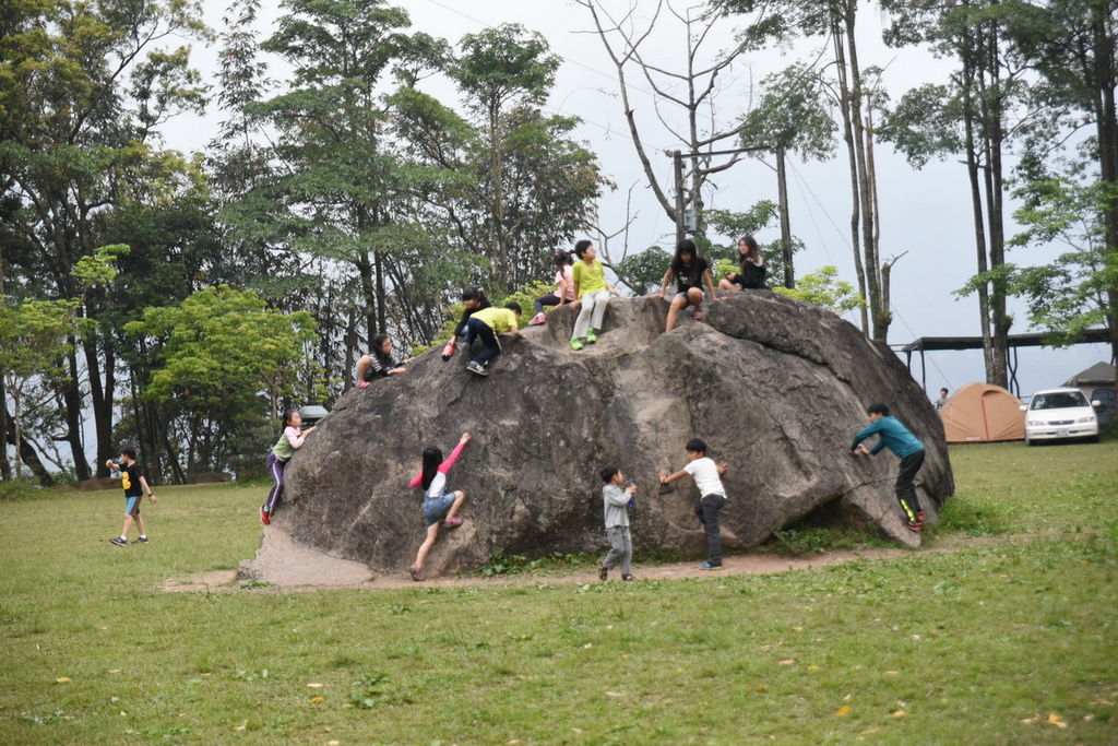 DSC_4523.JPG DSC_4523.JPG