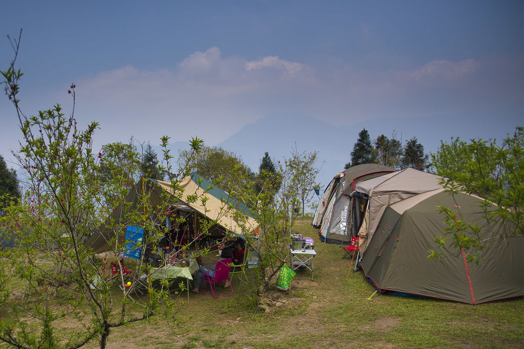 DSC_9672--.jpg DSC_9672--.jpg